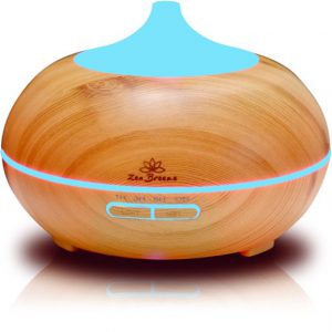 unique valentine gifts for women Zen Breeze diffuser