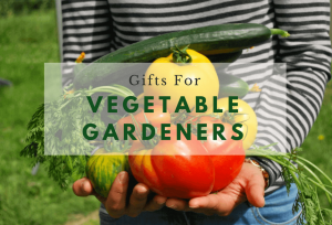 Gifts for Vegetable Gardeners