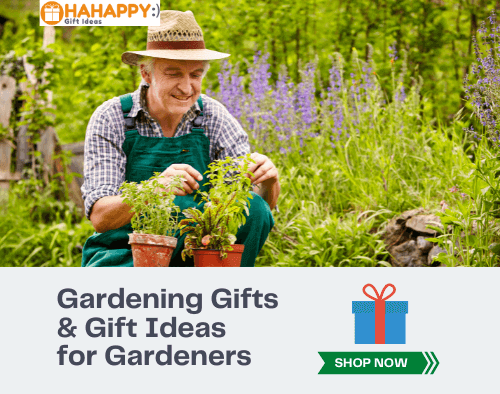 34 TOP Gardening Gifts & Gift Ideas for Gardeners Of All Types